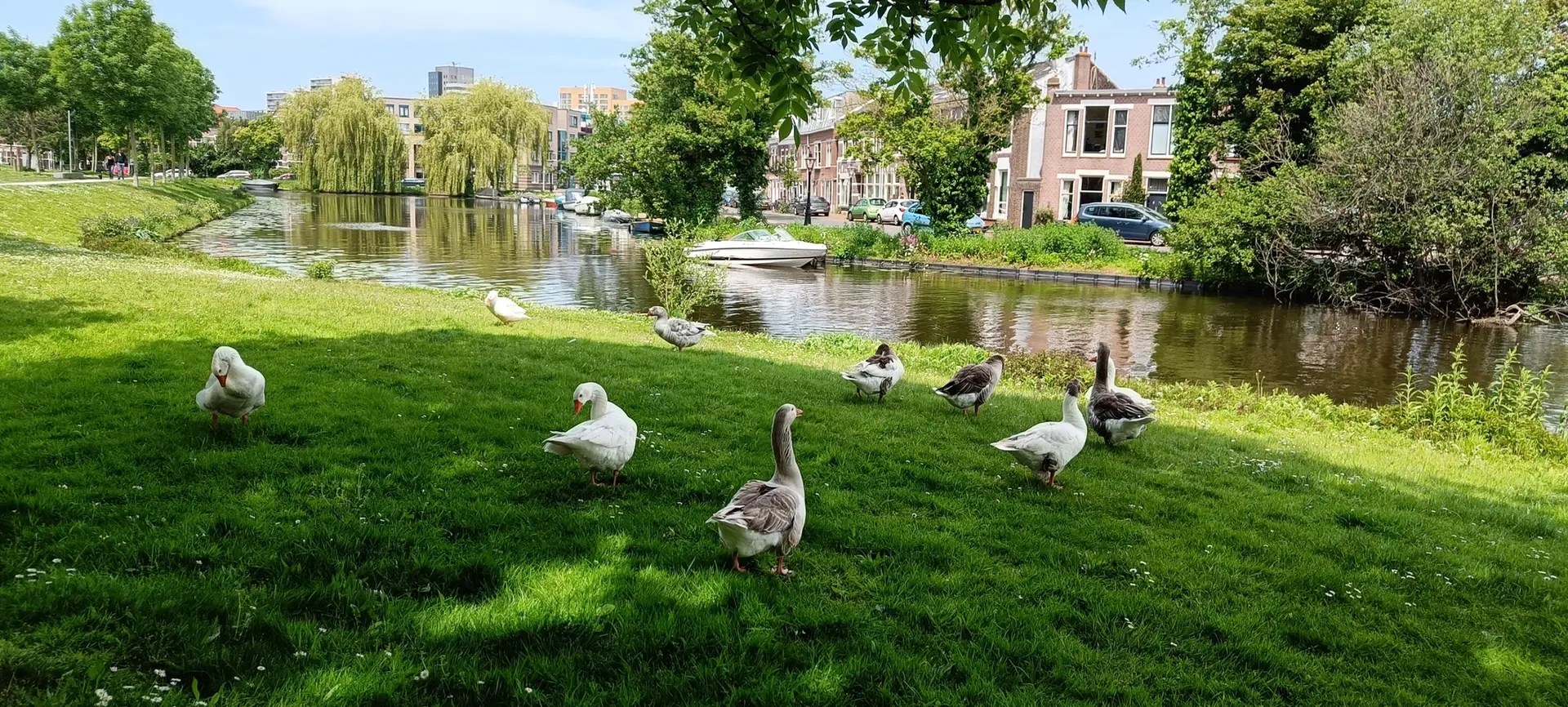 Leiden Foto 13